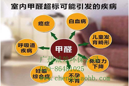 广州去甲醛服务公司