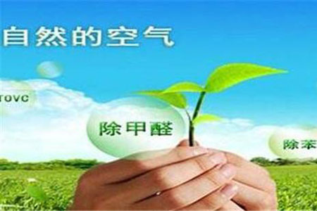 广州甲醛治理公司