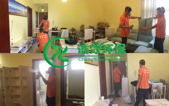 越秀区除甲醛公司