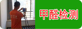 广州除甲醛公司,广州专业除甲醛公司,广州甲醛检测公司,广州专业甲醛检测公司